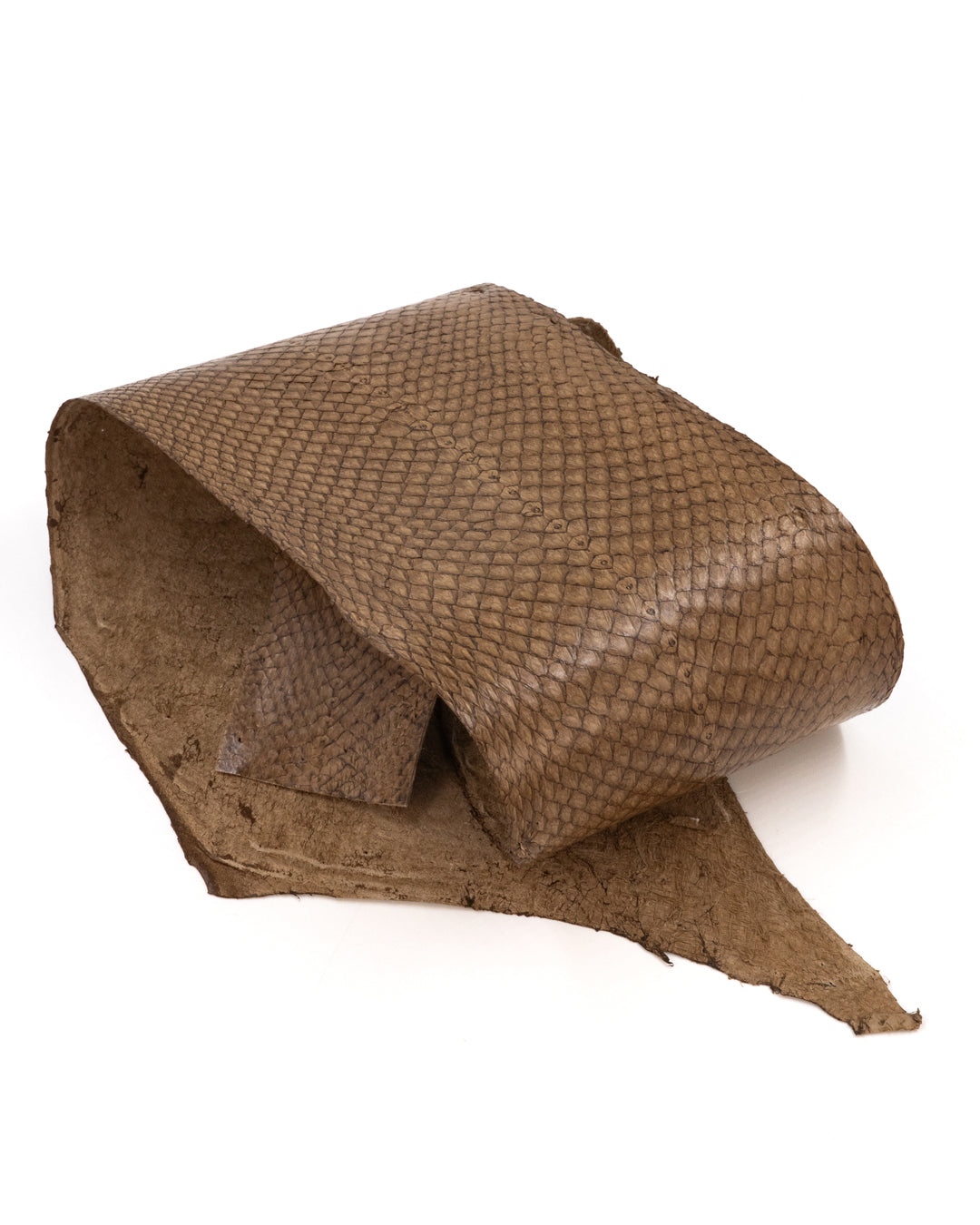 Cuir de poisson à écailles fermées et aspect satiné Saumon