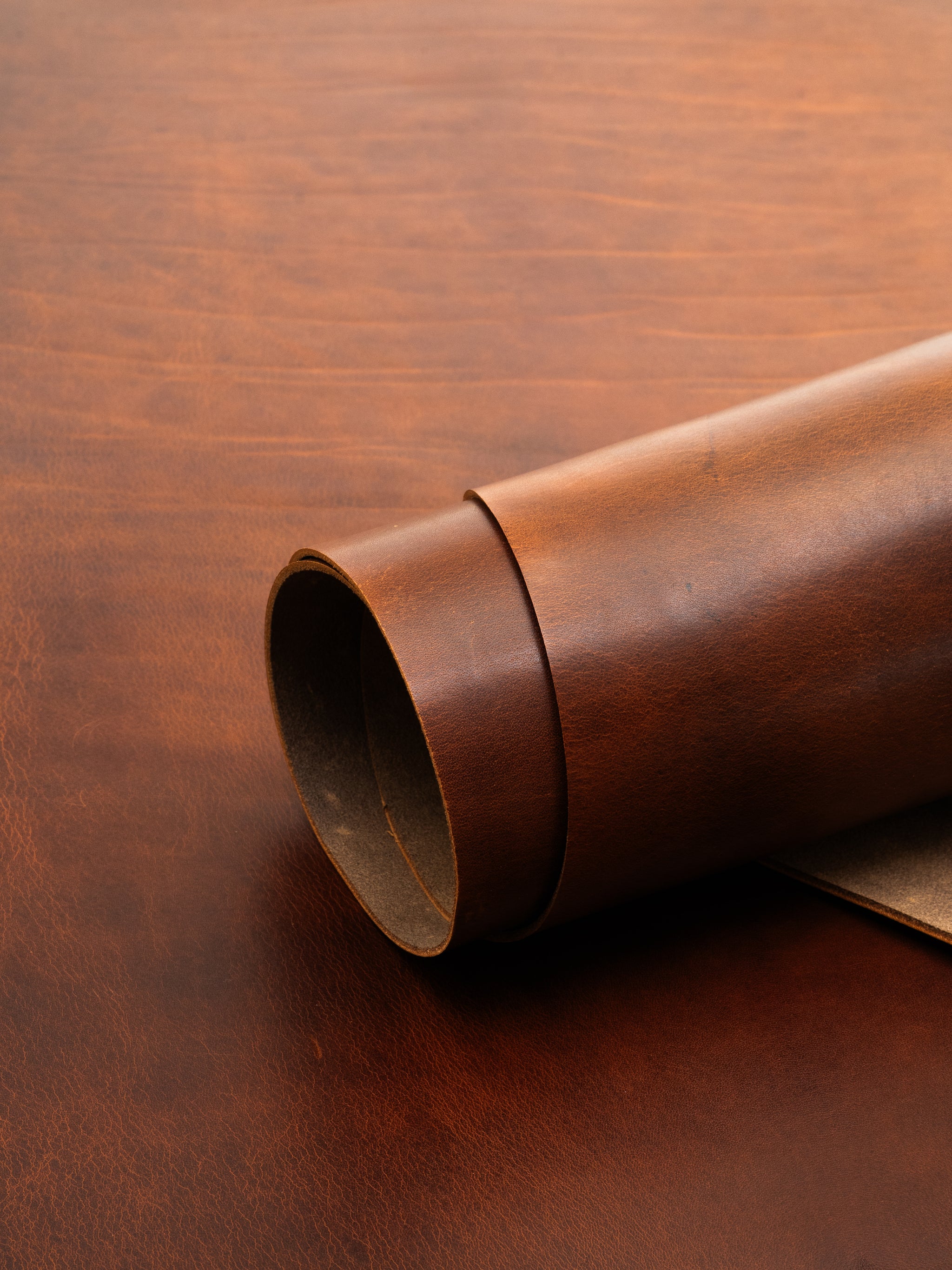 Shiny vegetable tanned harness leather 1 mm | Monza Collection