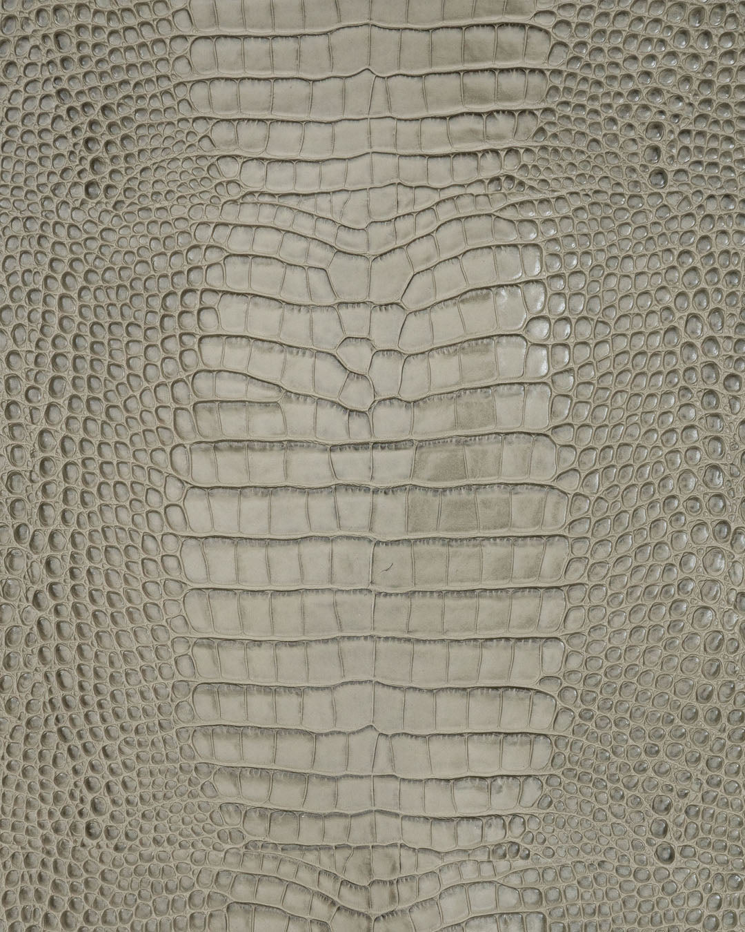 Firm cow leather with a crocodile print | Como Collection