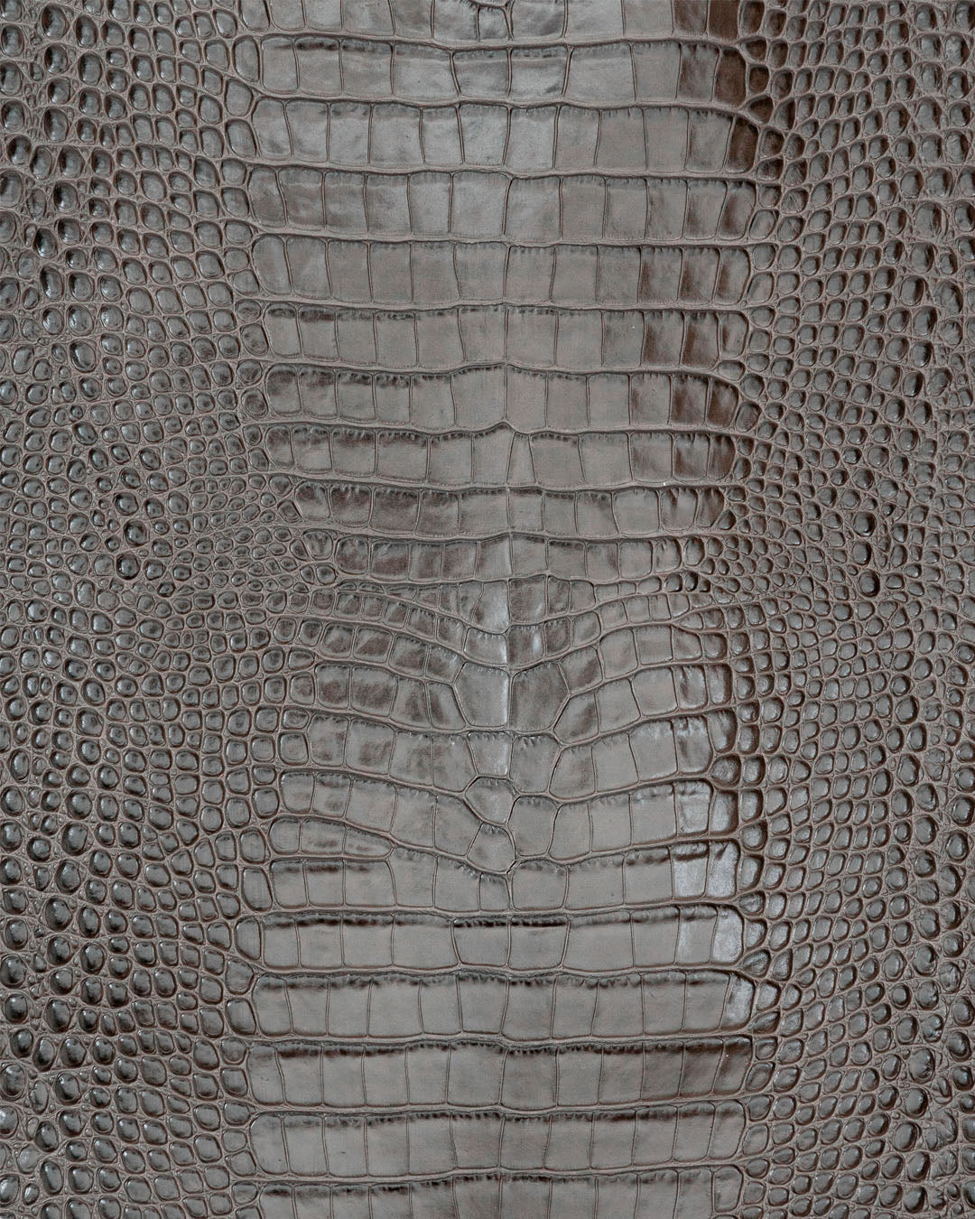 Firm cow leather with a crocodile print | Como Collection