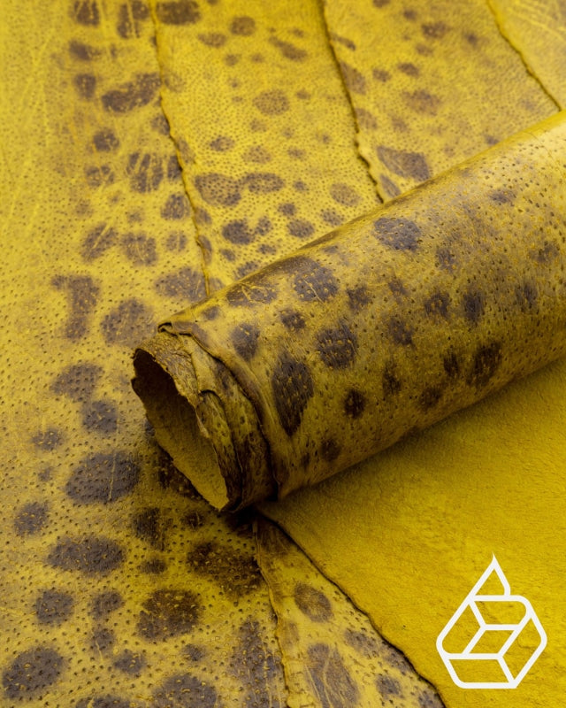 Spotted wolffish Collection Smooth fish leather with a silk gloss and  natural pattern Glói Small skin (unto m²)