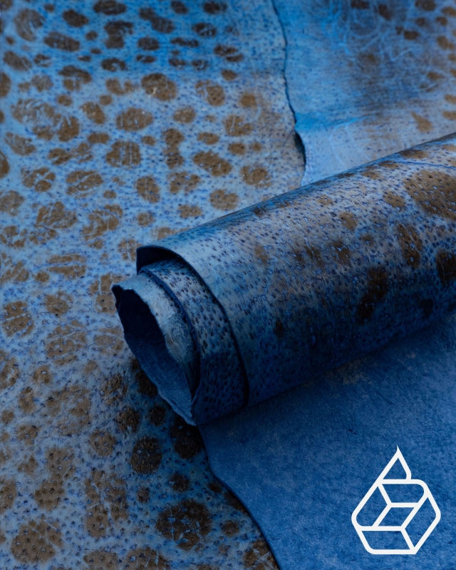 Spotted wolffish Collection Smooth fish leather with a silk gloss and  natural pattern Thor Small skin (unto m²)